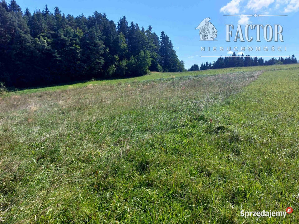 Kąclowa działka siedliskowa 06 ha 1103S2023 małopolskie sprzedam