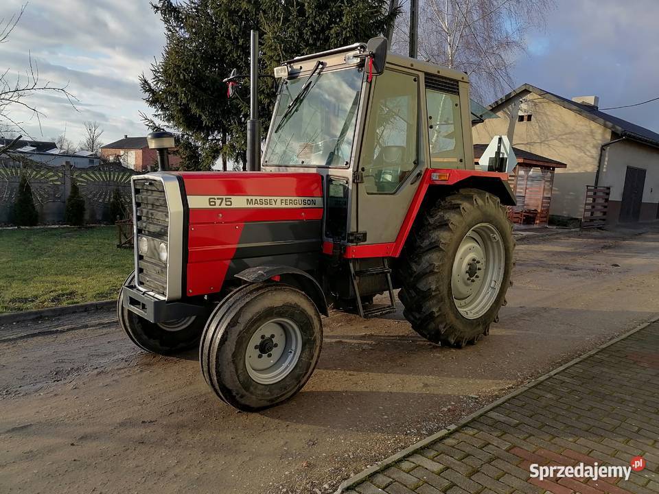 Massey ferguson 675 Massey Ferguson Koźminek