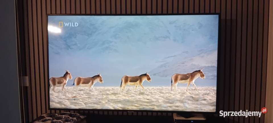 telewizor LEDLCD Samsung 55 Włocławek sprzedam