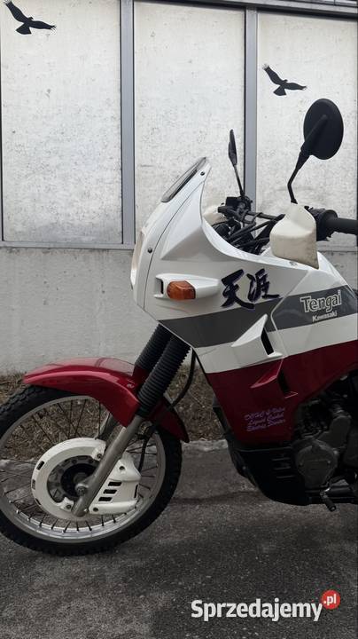 Kawasaki KLR650 Tengai Rok produkcji 1991 Kawasaki mazowieckie Łomianki