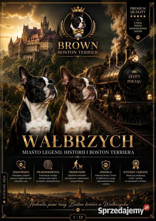 Instruktor Dogoterapii Wałbrzych