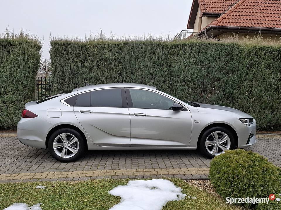 Insignia Hatchback Morawica