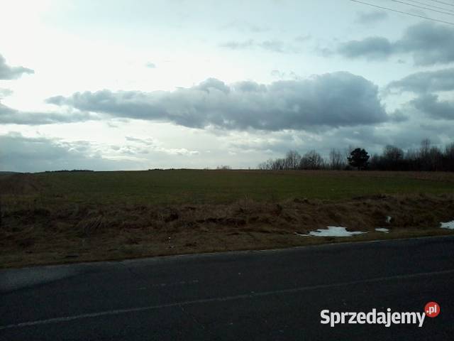 Sprzedam działkę 14133 ha w Rejowcu Fabrycznym Rejowiec Fabryczny sprzedam