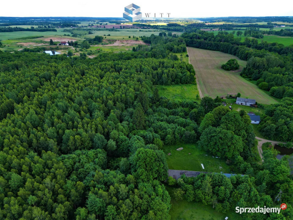 Grunt Marwałd 150700m2 sprzedam