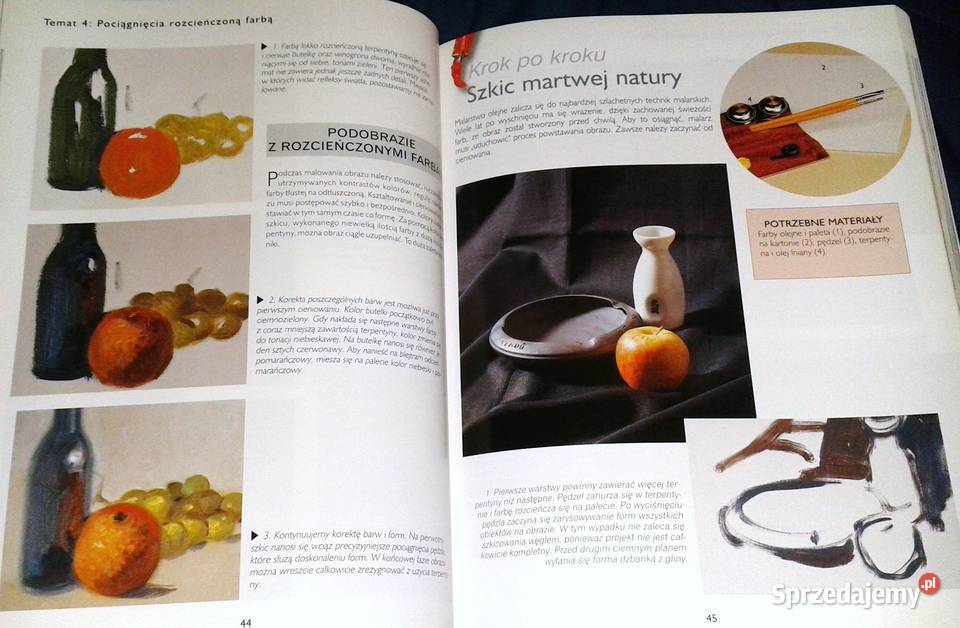 Malarstwo olejne początkujących Francisco A lubelskie Chełm sprzedam