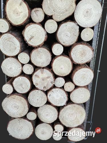 Wnęka kominka drewno pieńki sosna natura Pozostałe podkarpackie Kulno