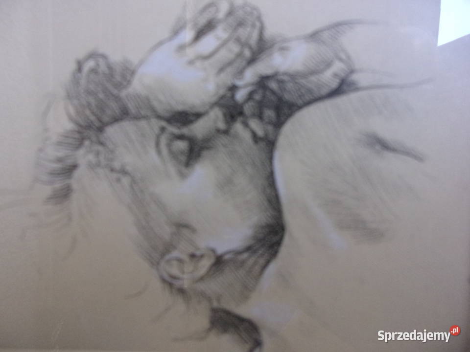 Piękny rysunek Śpiąca Kobieta autorka Francine Warszawa