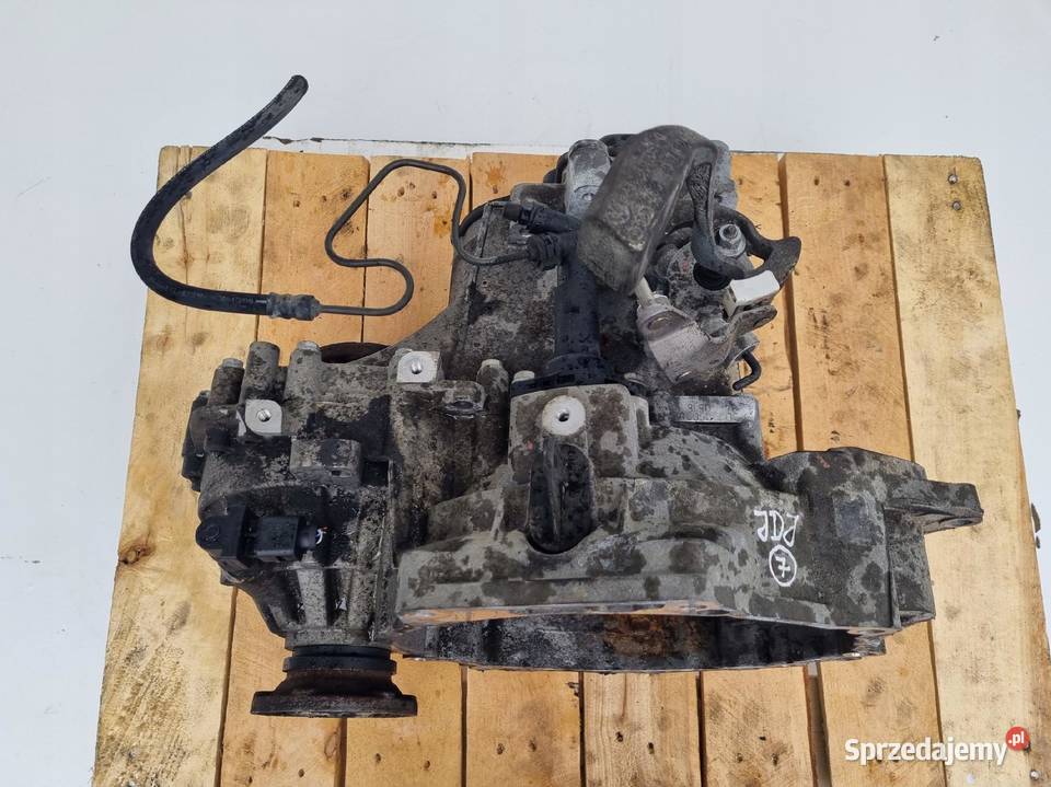 VW Beetle 16 8V SKRZYNIA BIEGÓW JDJ manualna Skrzynie biegów manualne Chełm