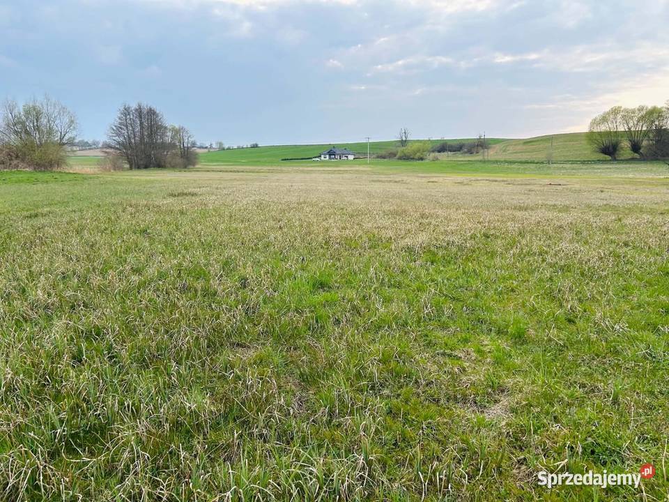 Działka budowlana z dostępem do rzeki 119ha Wrzeszewo sprzedam