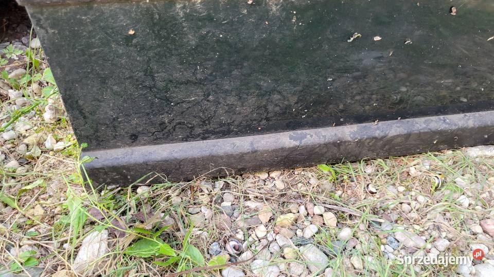 Drzwi Volkswagen Passat B5 Łagów