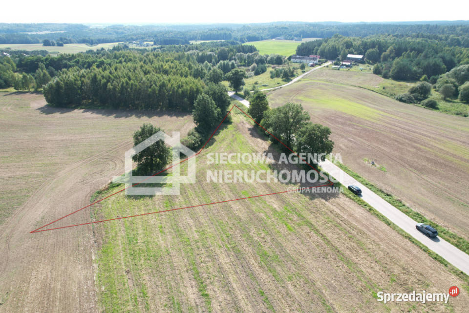 Działka 3000m2 Goszyn