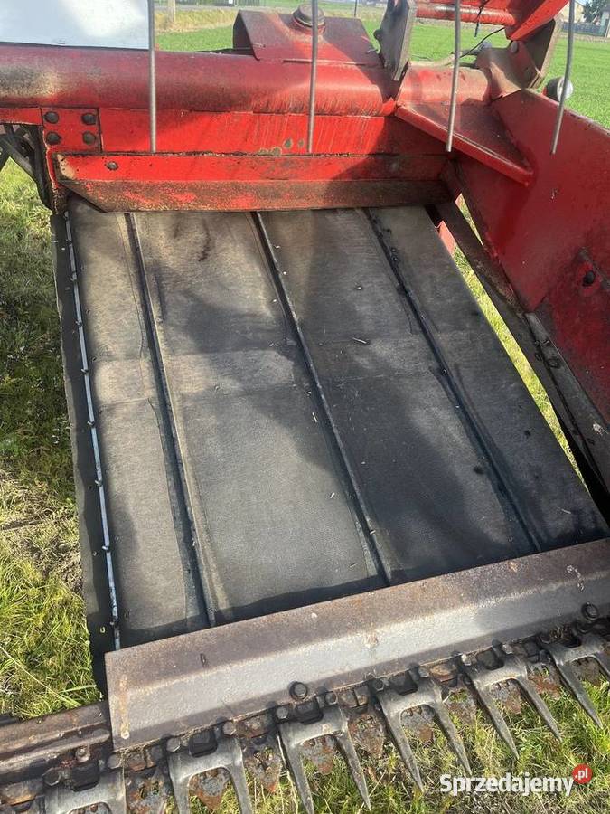 Pokosówka OWATON Pozostałe Topola Królewska