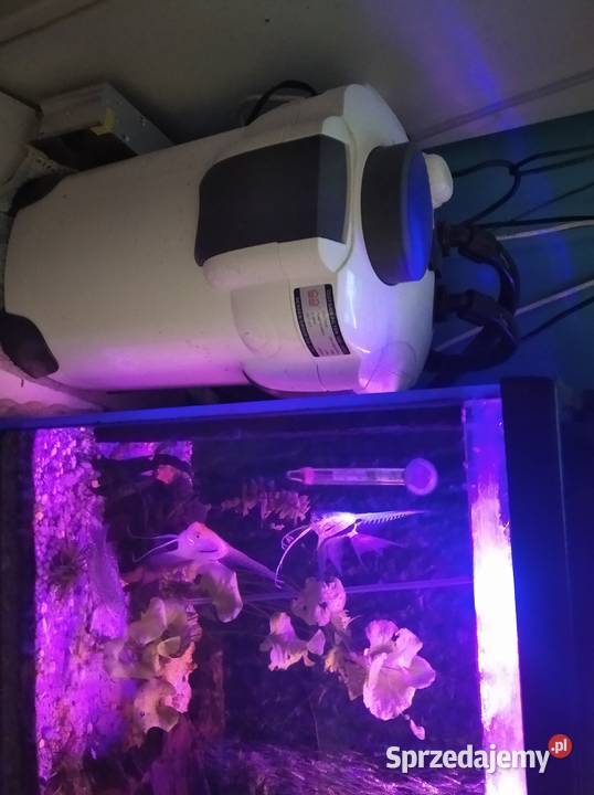 Akwarium ok 200 l