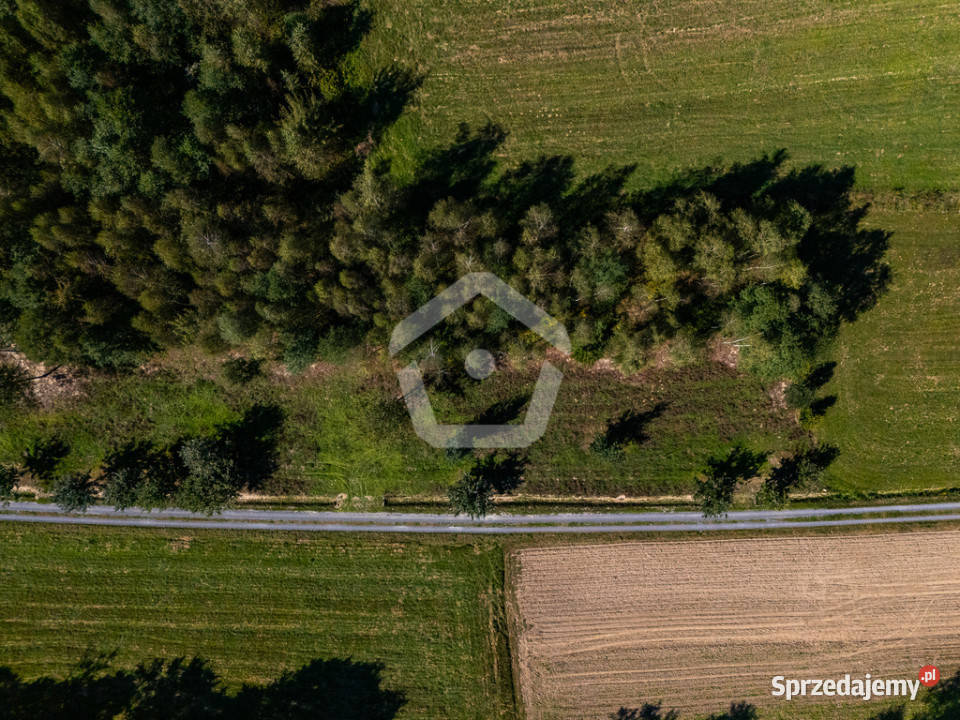 Działka lesie z WZ 34 ar 16 ar las Zagorzyce