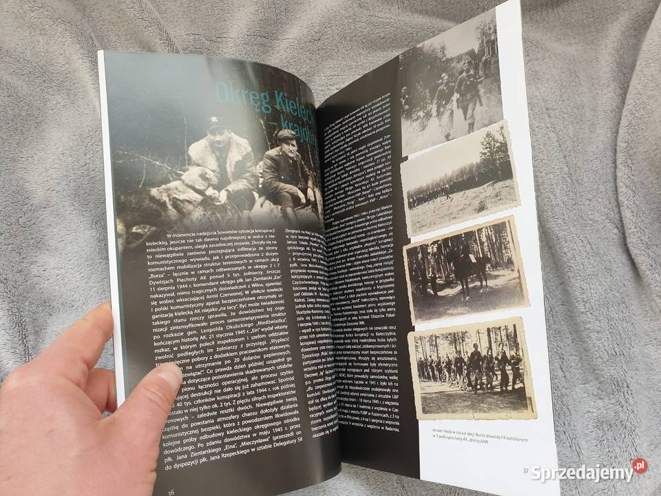 Wilcze Tropy Szary Gdynia