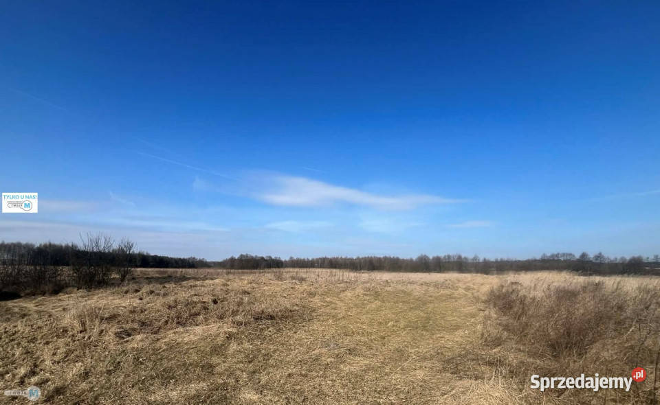 sprzedaży działki 43100m2 Śladków Duży rolna