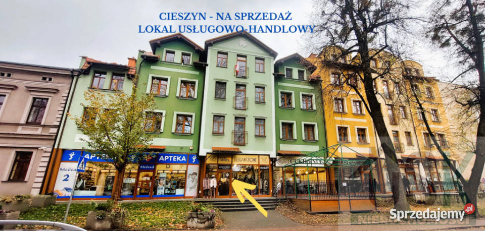 Cieszyn - elegancki lokal użytkowy