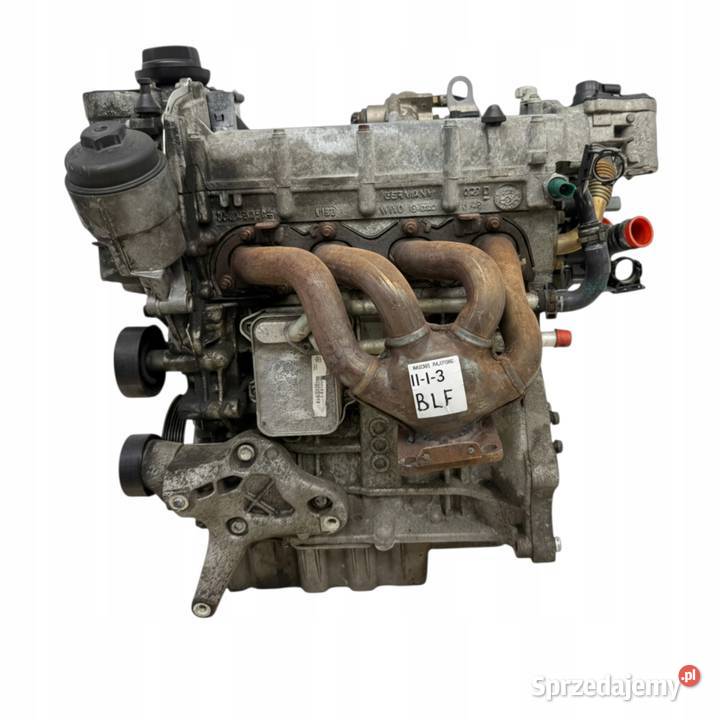 SILNIK BLF Audi A3 II 8P Skoda Octavia II 16 FSI Chełm