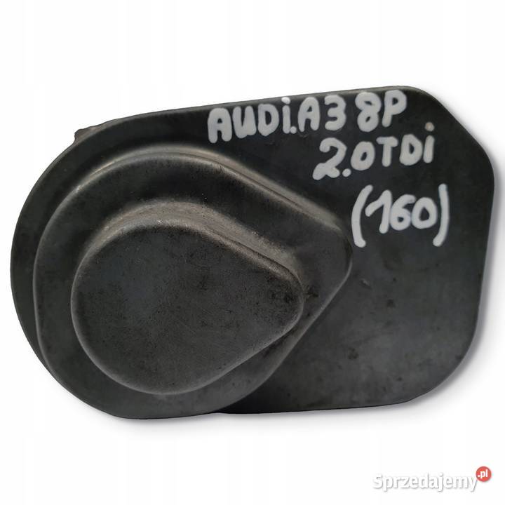 PRZEPUSTNICA Audi A3 II 8P 20 TDI oryginał Chełm