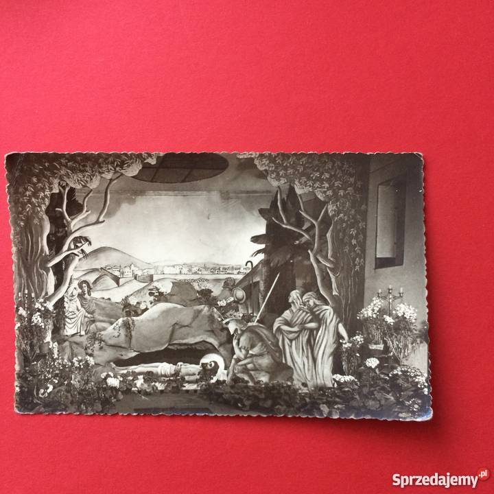 1180 Zakłady Fotograficzne Szczecina Szczecin