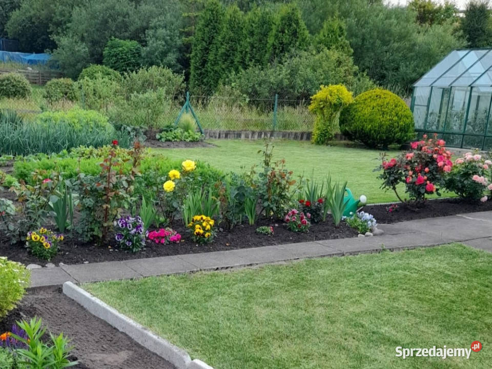 Zadbana działka rekreacyjna ROD Słoneczne siatka