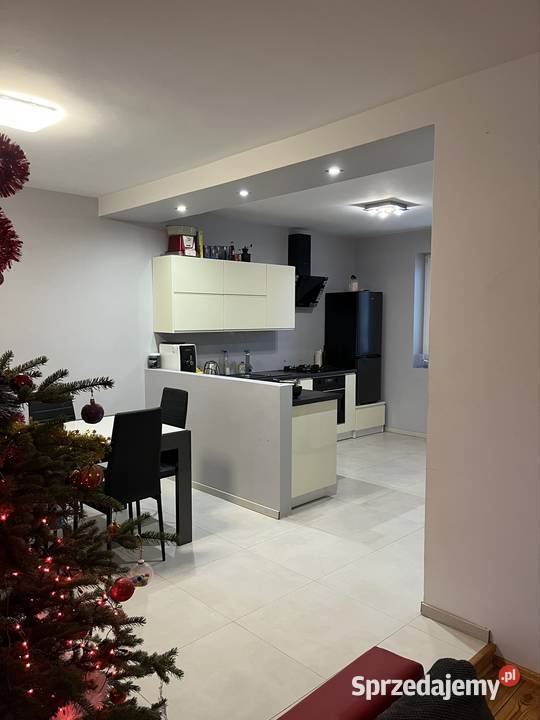 Dom Płock wyjątkowe miejsce spokój cisza sprzedam