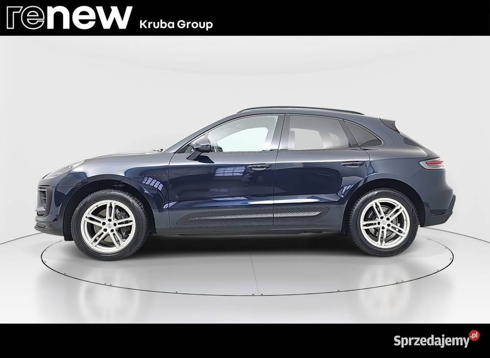 Macan mazowieckie