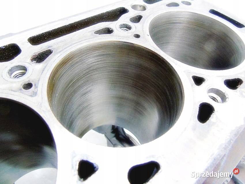 BLOK K4M 16 16V MEGANE 2 LAGUNA 2 CLIO 2 SCENIC Blok silnika Sosnowiec sprzedam