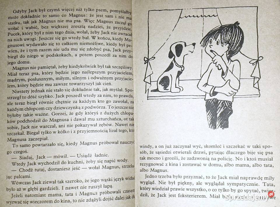 Magnus i pies pokładowy Jack Hans Peterson lubelskie
