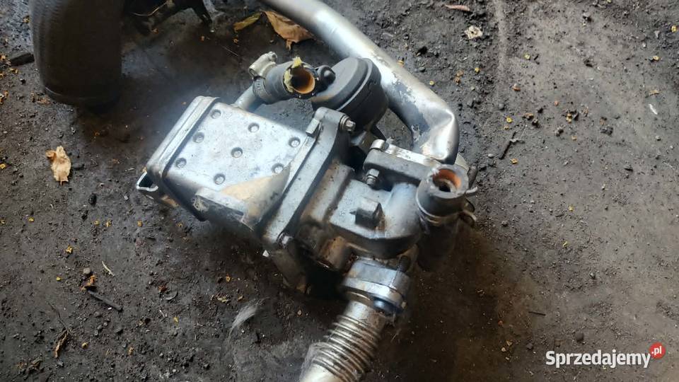 Przepustnica zawór EGR 31422119 Volvo v60 20D osobowe Książ Wielkopolski