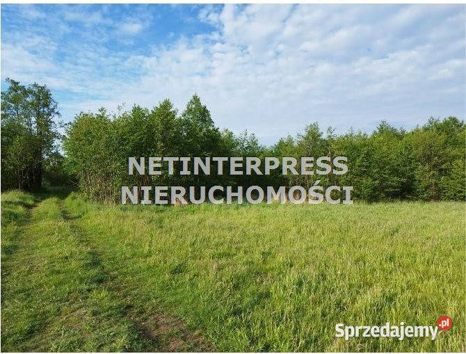 sprzedaży działki 11377m2 Radziejowice Sprzedaż mazowieckie