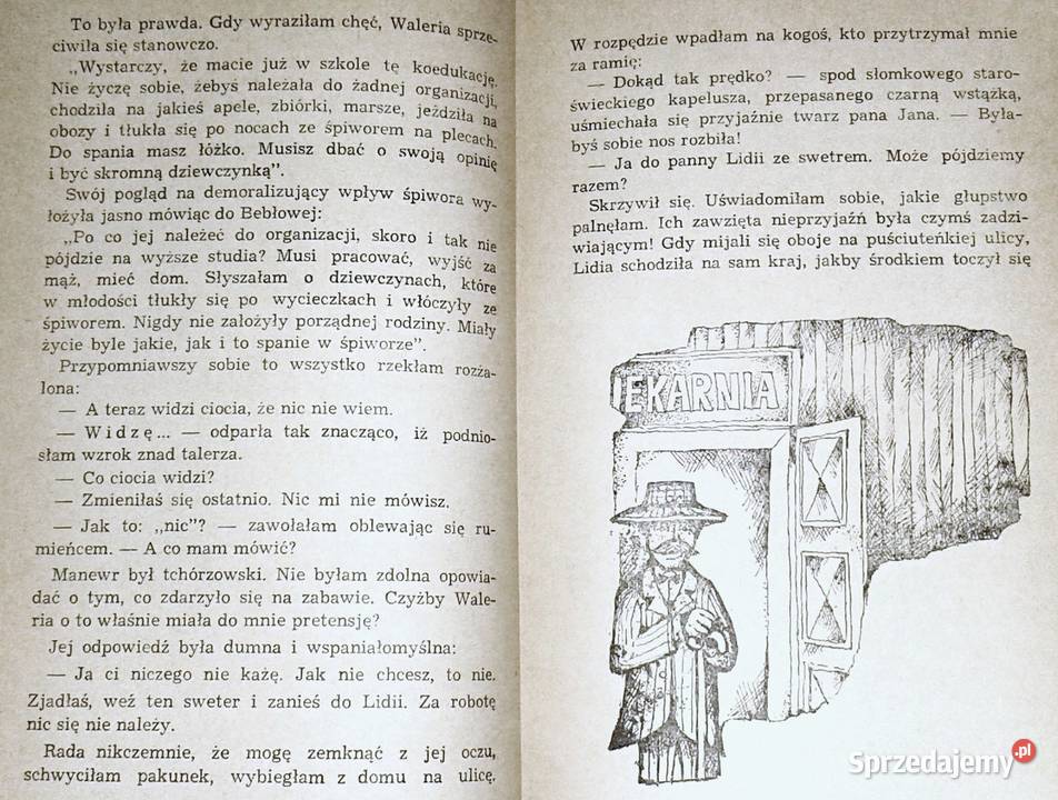 Rufin z przeceny Natalia Rolleczek Chełm sprzedam