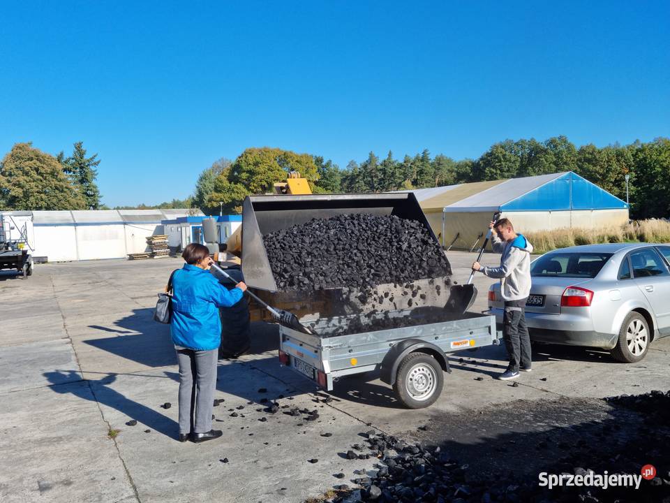 eko groszek worki 25 luzem Ligota Turawska