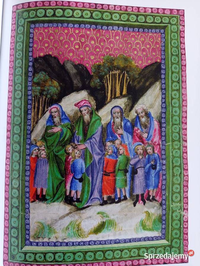 Die Bibel Biblia wysyłka pomorskie sprzedam