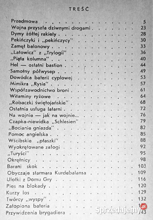 Samotny półwysep Włodzimierz Steyer lubelskie Chełm
