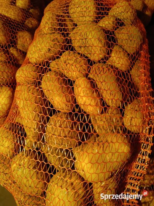 Ziemniaki Przeworsk sprzedam