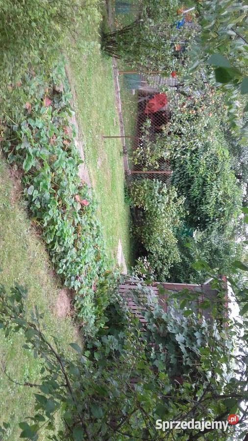 SPRZEDAM DZIAŁKĘ ROD 57zł/m2 Nowy Sącz