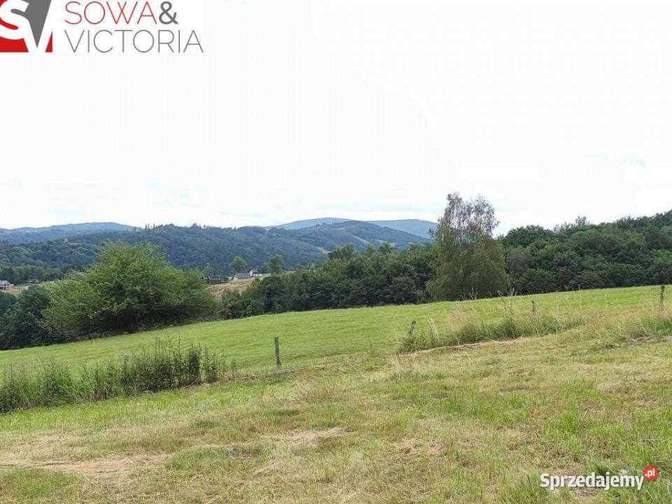 Panoramiczny widok na szczyty gór ok 1 PKP dolnośląskie Zagórze Śląskie