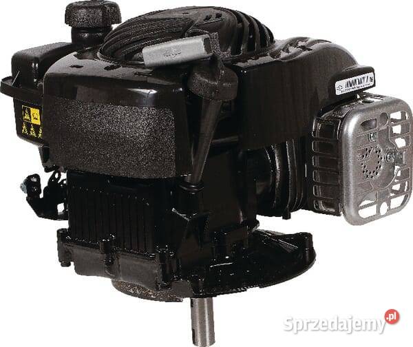 Silnik wał pionowy 35 seria 500 Briggs amp Kamionna
