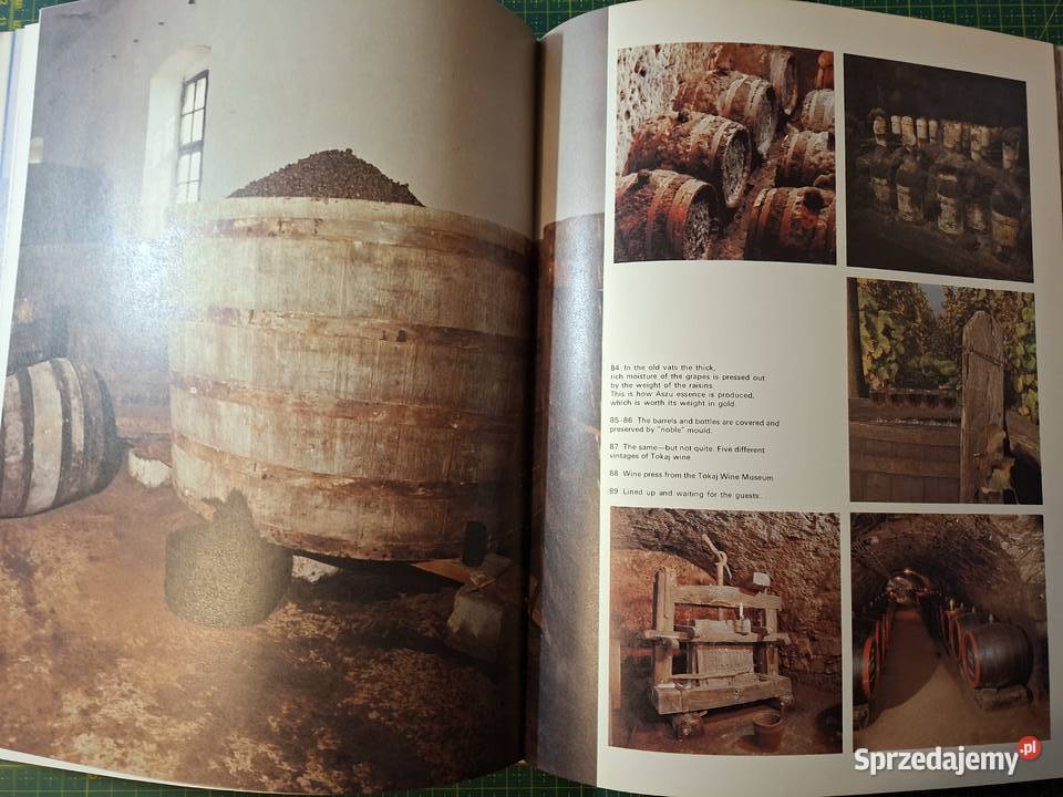 Tokaj Karoly Szelenyi Węgry j ang