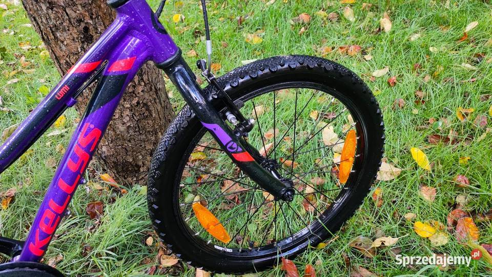 Rower dziecięcy Kellys Lumi 30 Poznań
