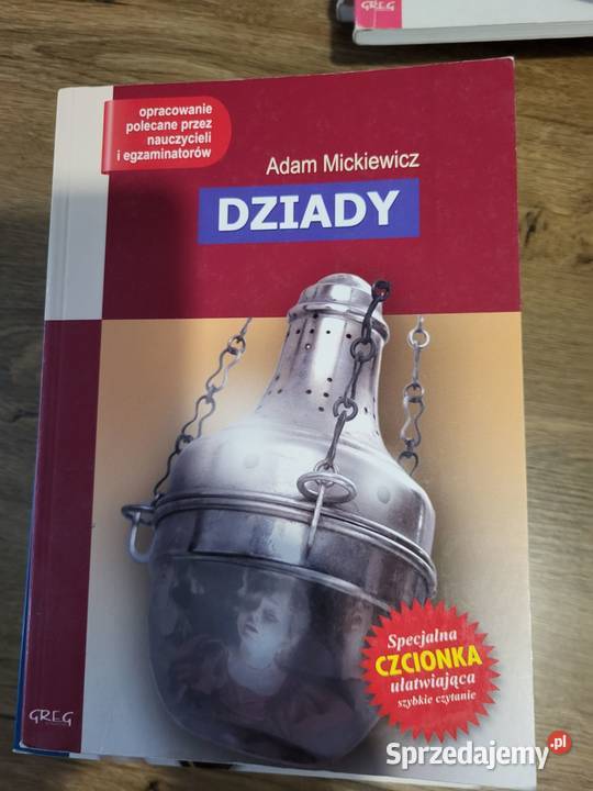 Lektury szkolne miękka Gniezno