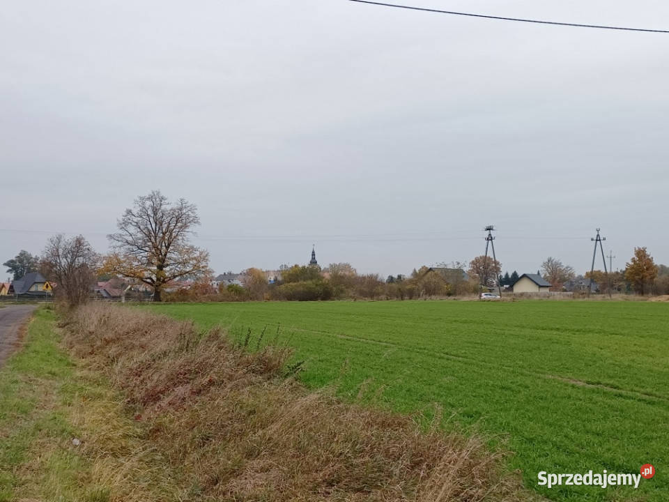 Babimost DZIAŁKI BUDOWLANE z warunkami zabudowy sprzedam