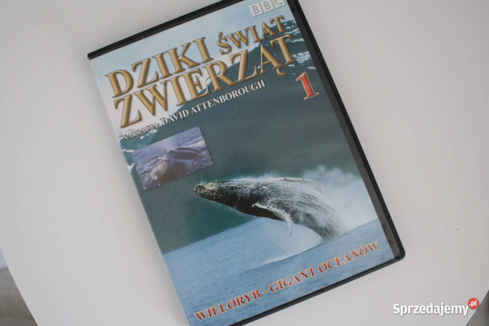 Film Dziki świat zwierząt płyta DVD Wrocław sprzedam