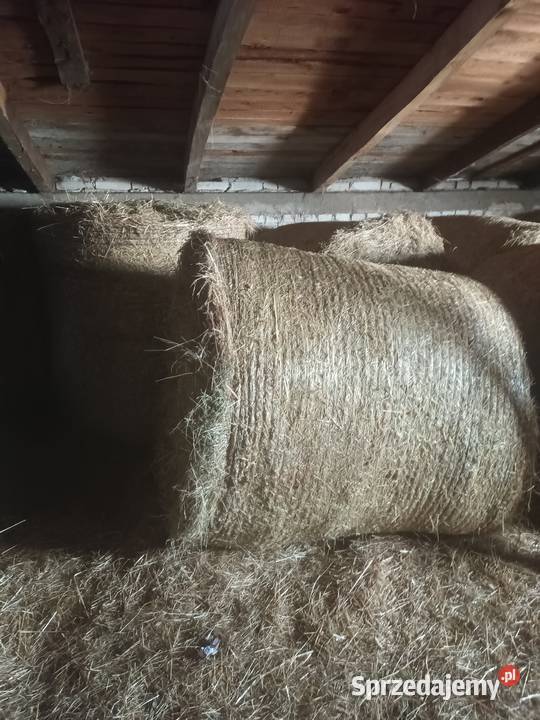 Sprzedam siano i słomę