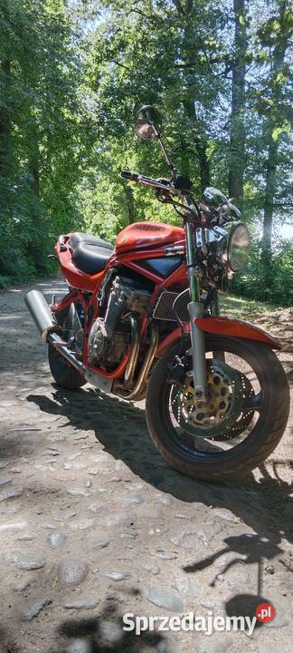 Bandit 600n A2 Łapy