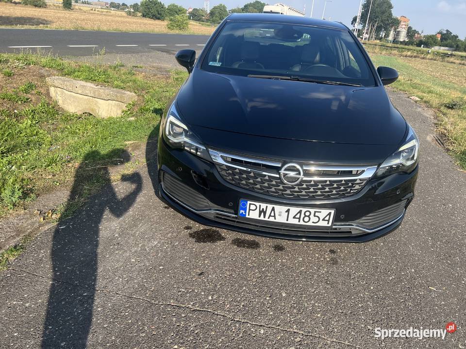 Sprzedaje astre k Wągrowiec