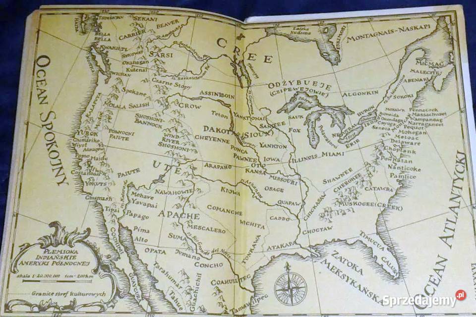 Gwiazda Mohawka YacktaOya Chełm sprzedam