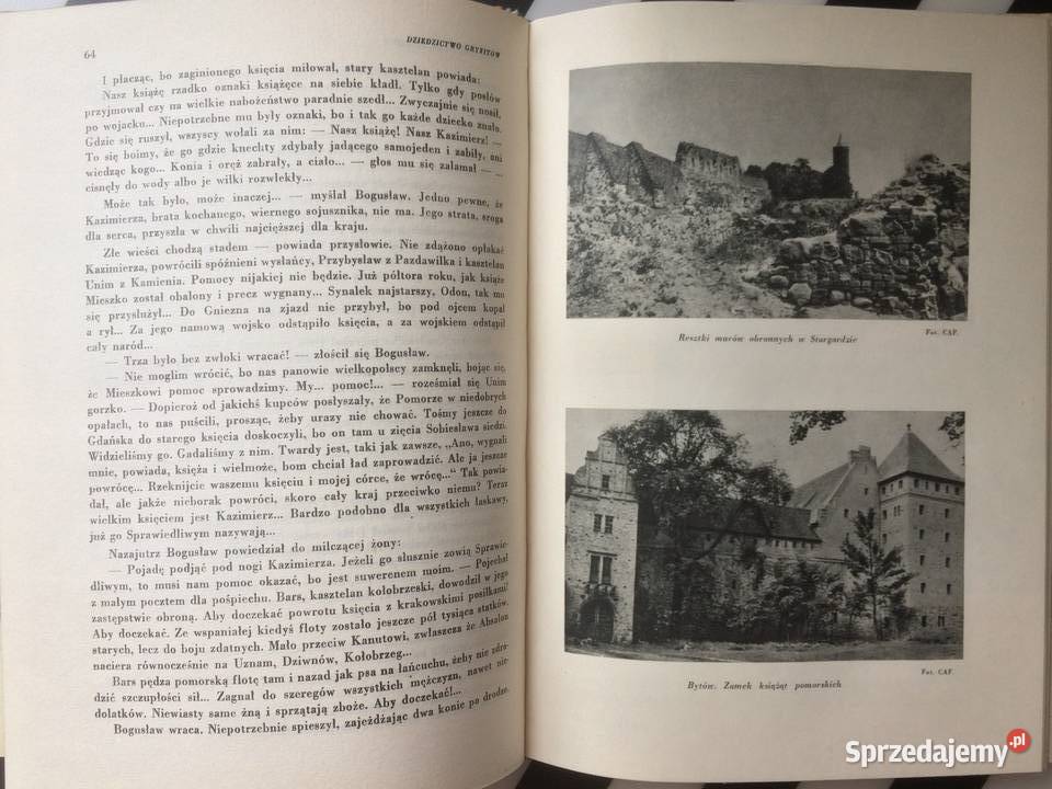 3589 Dziedzictwo Gryfitów Szczecin sprzedam