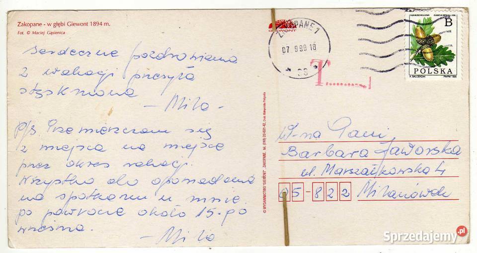 ZAKOPANE GIEWONT 2 POCZTÓWKA Krynki sprzedam